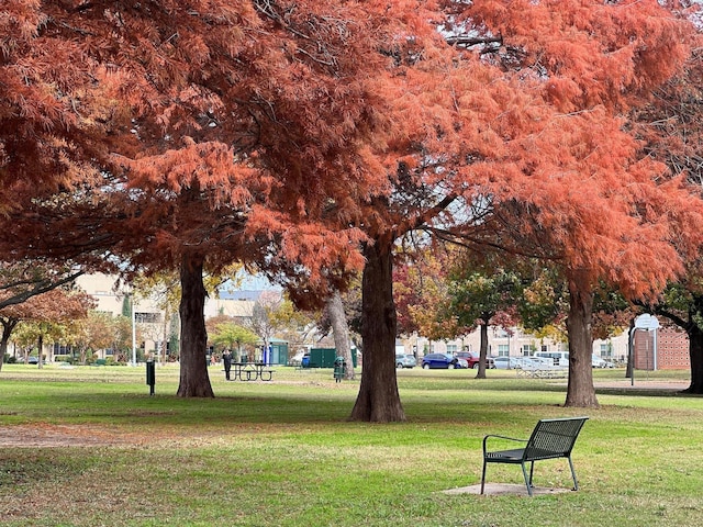 view of property's community with a yard