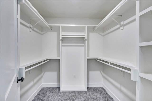 walk in closet with carpet