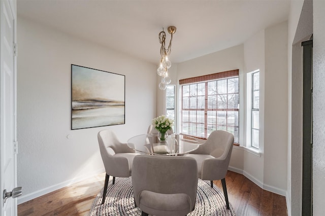 dining room with hardwood / wood-style floors