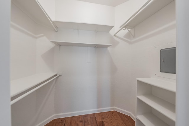 spacious closet featuring wood-type flooring