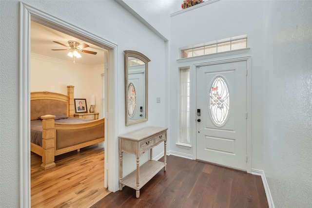 entrance foyer featuring crown molding, ceiling fan, and dark hardwood / wood-style flooring