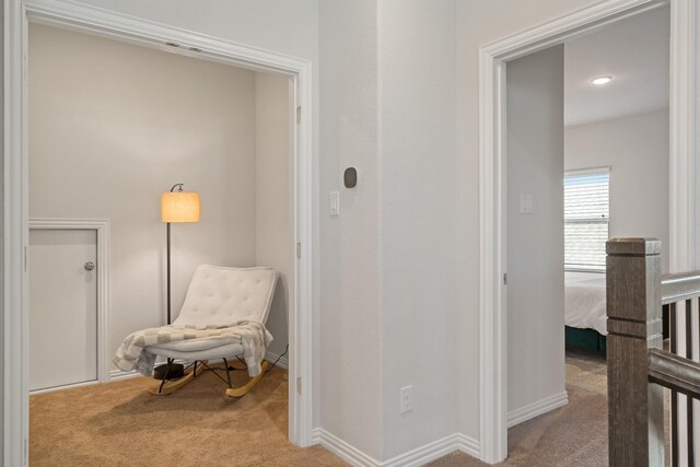 living area with carpet and baseboards