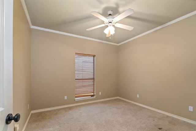 carpeted spare room featuring ornamental molding and ceiling fan