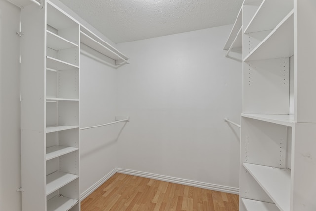 walk in closet with wood-type flooring