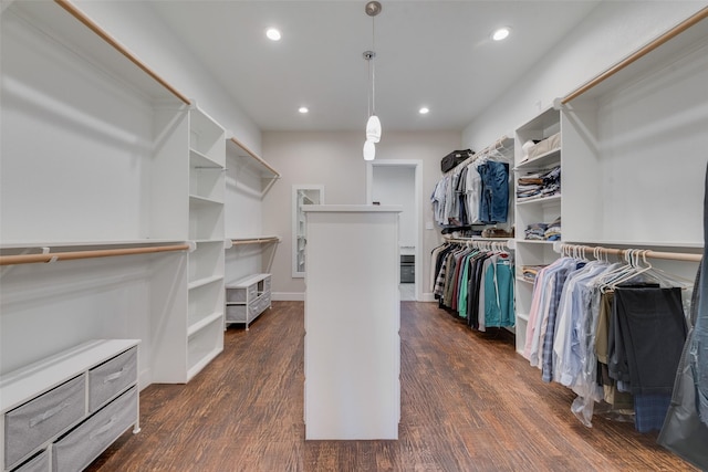 spacious closet featuring dark wood-type flooring