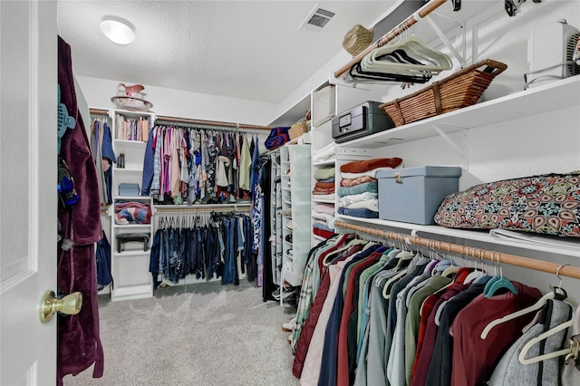 spacious closet featuring carpet floors