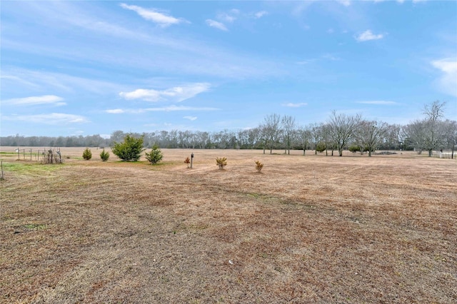 view of yard with a rural view