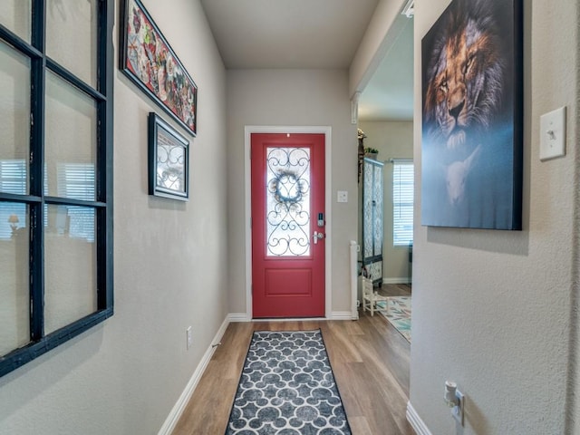 foyer with hardwood / wood-style floors