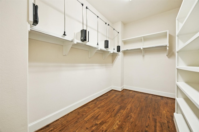 spacious closet with dark wood-type flooring