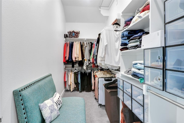 spacious closet with radiator and light carpet