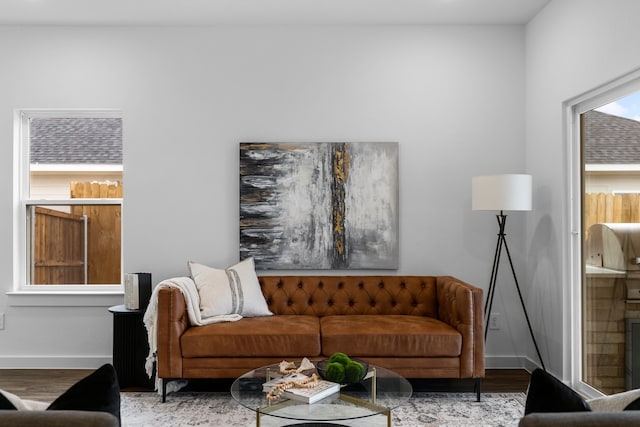 living room featuring hardwood / wood-style flooring