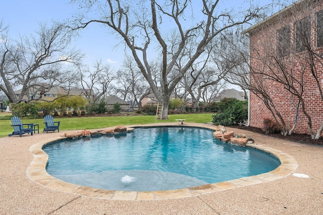 view of swimming pool with a yard, a diving board, and a patio area