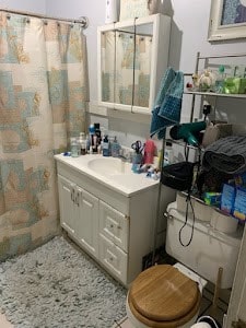 bathroom featuring vanity and toilet