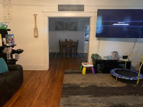 living room featuring dark hardwood / wood-style floors