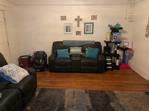 living room featuring hardwood / wood-style floors