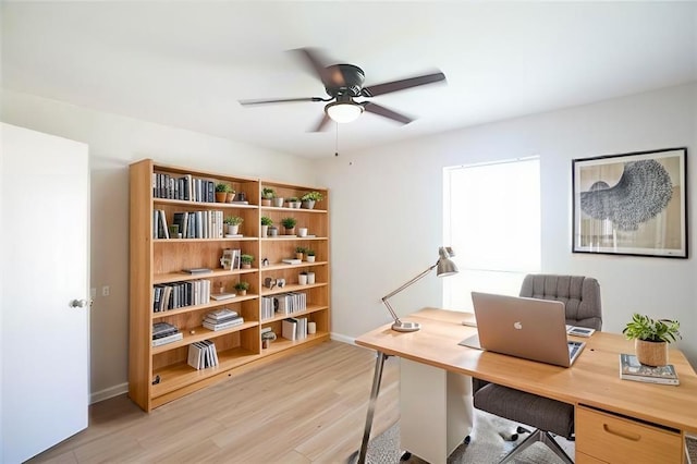 office area featuring light wood-style floors, baseboards, and a ceiling fan