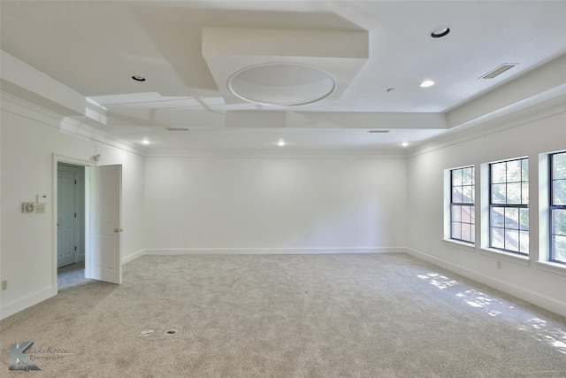 carpeted empty room with crown molding and a raised ceiling