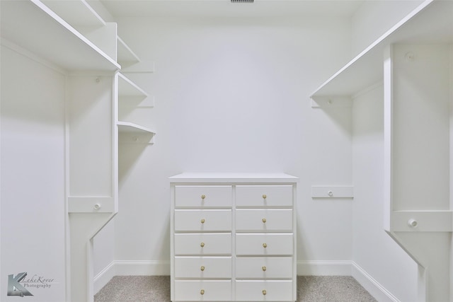 spacious closet featuring light colored carpet