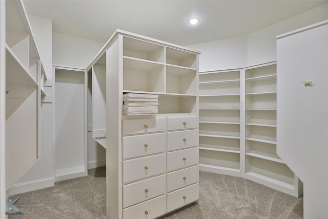 spacious closet with light carpet