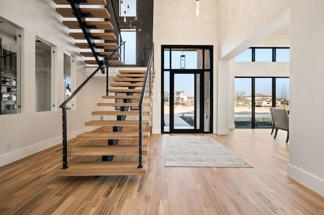 entryway featuring a high ceiling and wood-type flooring