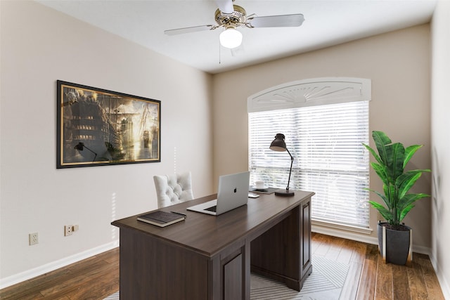 office featuring dark hardwood / wood-style floors and ceiling fan