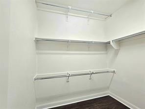 walk in closet featuring dark wood-type flooring