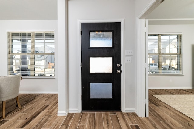 entrance foyer featuring wood-type flooring