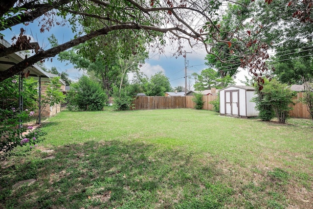 view of yard with a storage unit