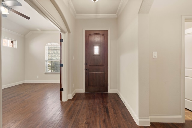 foyer featuring ceiling fan, ornamental molding, and dark hardwood / wood-style floors