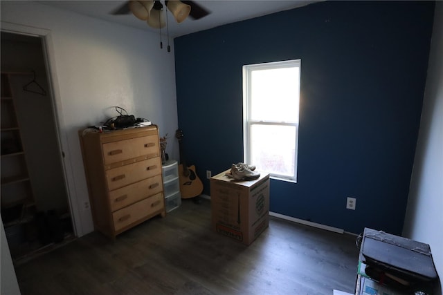 bedroom featuring multiple windows, dark wood-type flooring, and ceiling fan