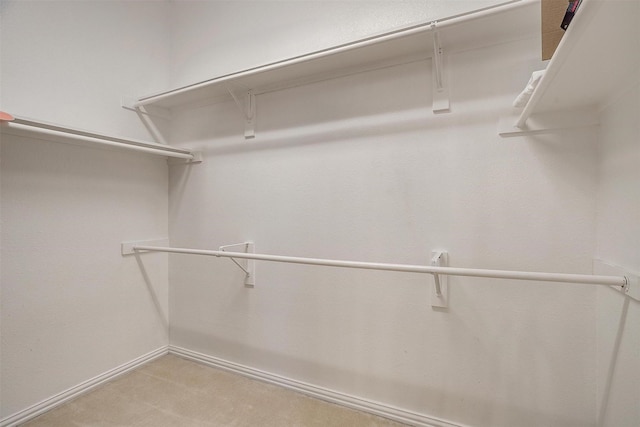 walk in closet with light colored carpet