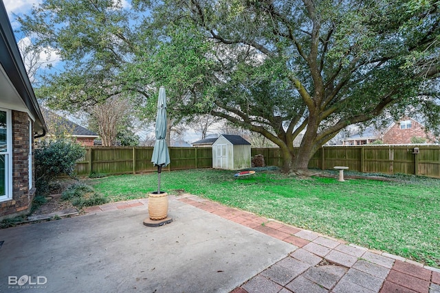 view of yard featuring a shed and a patio area