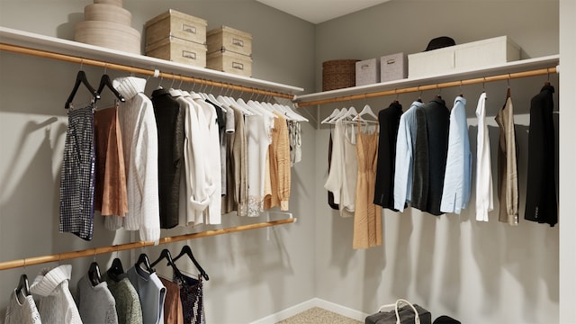 view of spacious closet