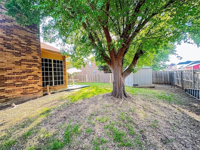 view of yard with a shed