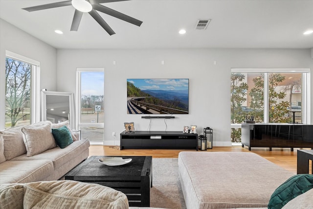 living room with ceiling fan and light wood-type flooring