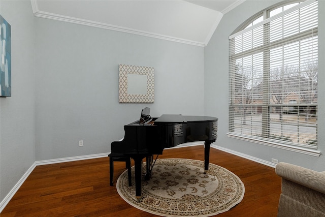 miscellaneous room with hardwood / wood-style flooring, crown molding, and lofted ceiling