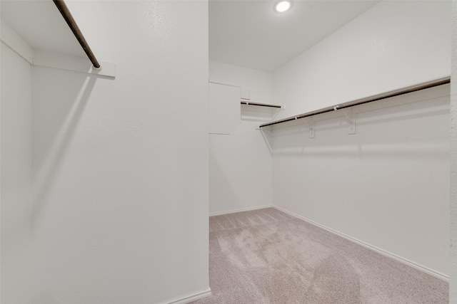 spacious closet featuring light colored carpet