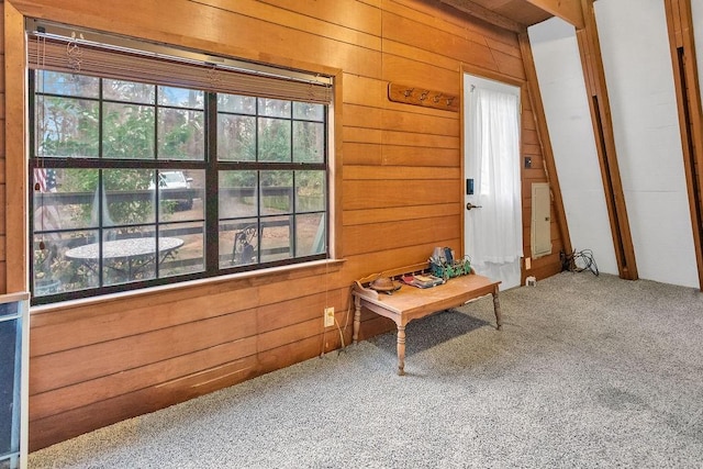 interior space with wooden walls and carpet