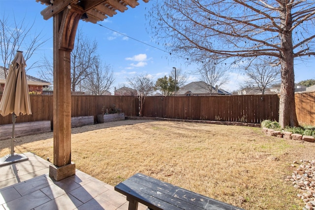 view of yard with a patio