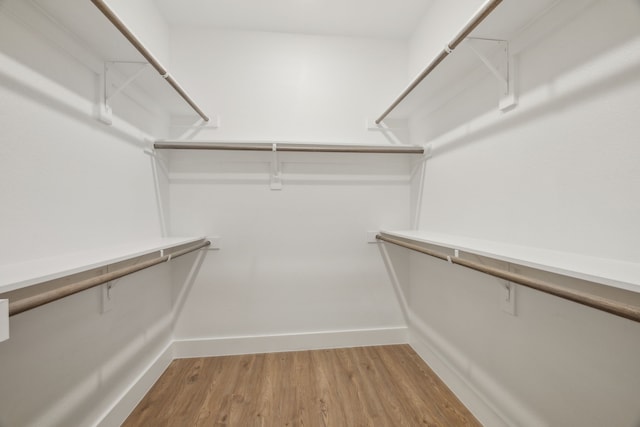 spacious closet with hardwood / wood-style flooring