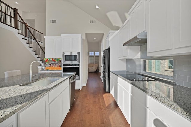 kitchen featuring sink, white cabinets, dark hardwood / wood-style flooring, stainless steel appliances, and light stone countertops