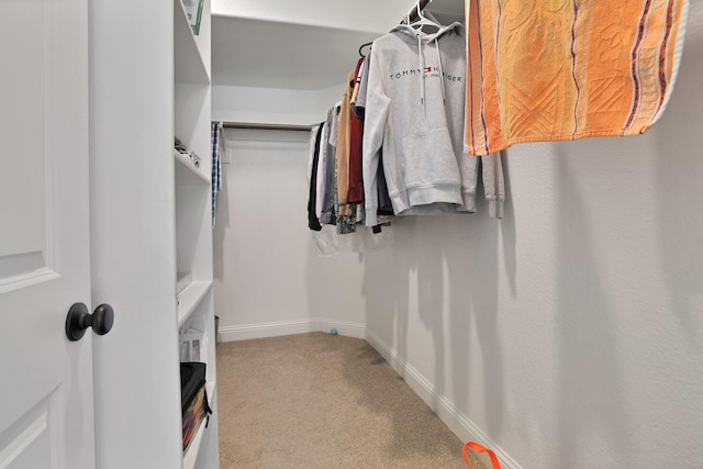 walk in closet with carpet floors