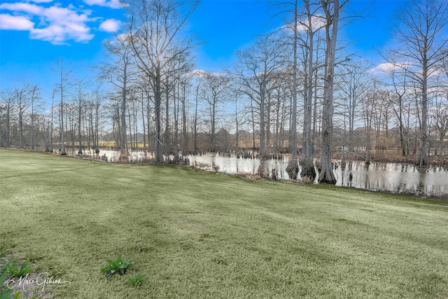 view of yard featuring a water view