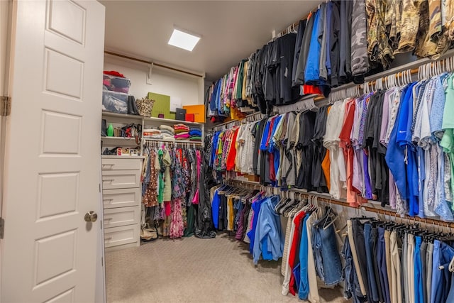 spacious closet featuring light carpet