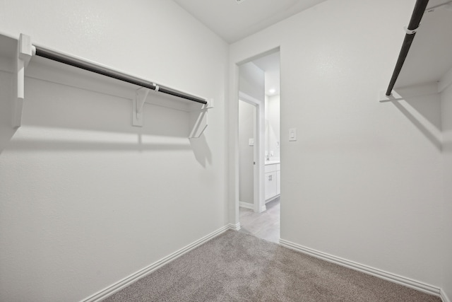 spacious closet featuring light colored carpet