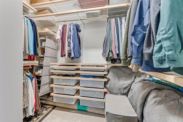 walk in closet featuring carpet flooring