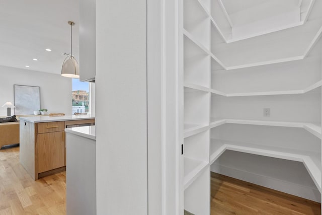 4330 Dickason Ave Unit 201, Dallas, TX 75219 - view of pantry