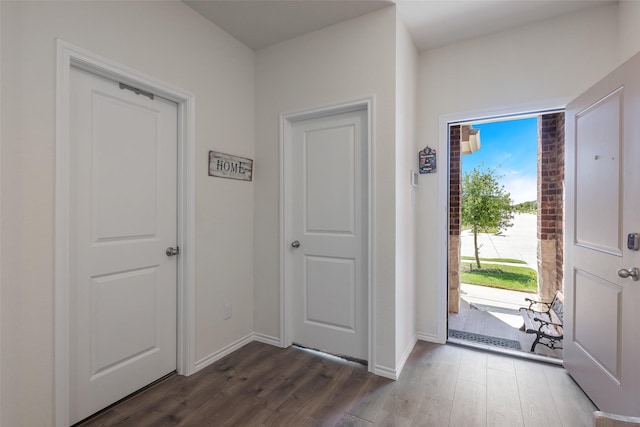 entryway with dark wood-type flooring