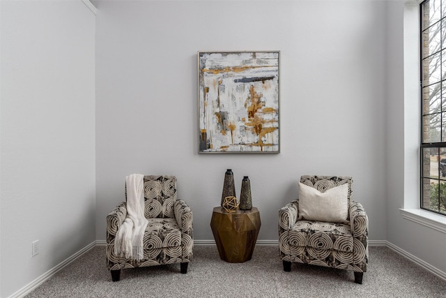 sitting room with carpet