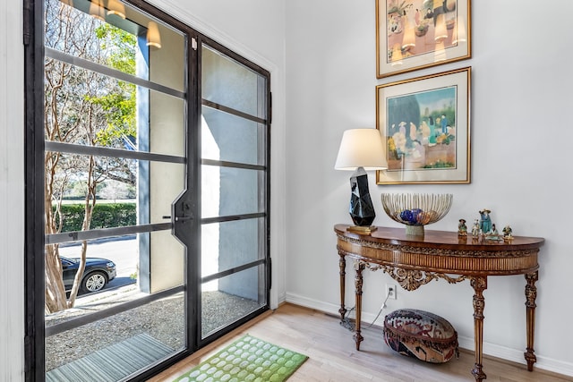 foyer with hardwood / wood-style floors